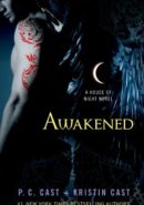 Awakened epub