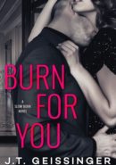 Burn for You epub