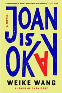 Joan Is Okay A Novel epub